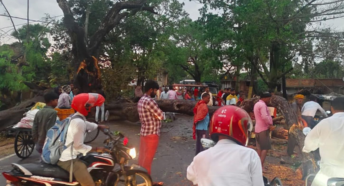 ভারতে ঝড়, বজ্রপাত ও প্রবল বর্ষণে ৮১ জনের প্রাণহানি